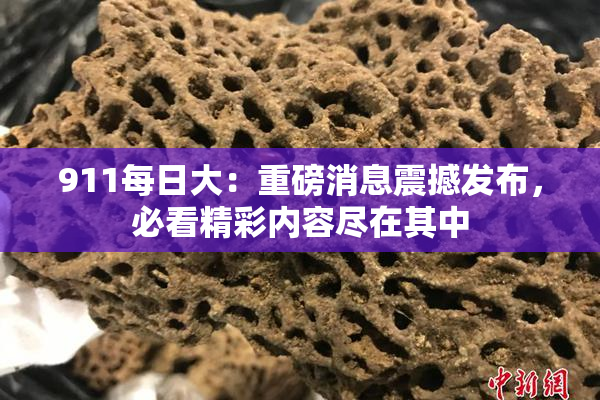 911每日大：重磅消息震撼发布，必看精彩内容尽在其中