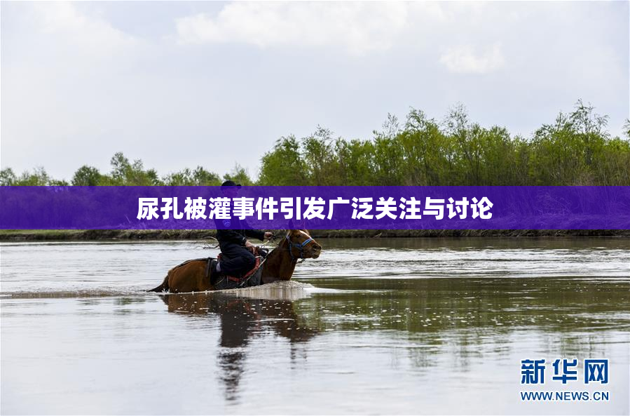 尿孔被灌事件引发广泛关注与讨论