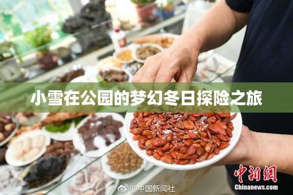 小雪在公园的梦幻冬日探险之旅