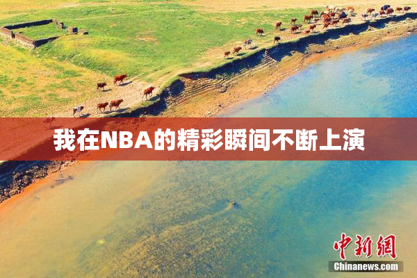 我在NBA的精彩瞬间不断上演