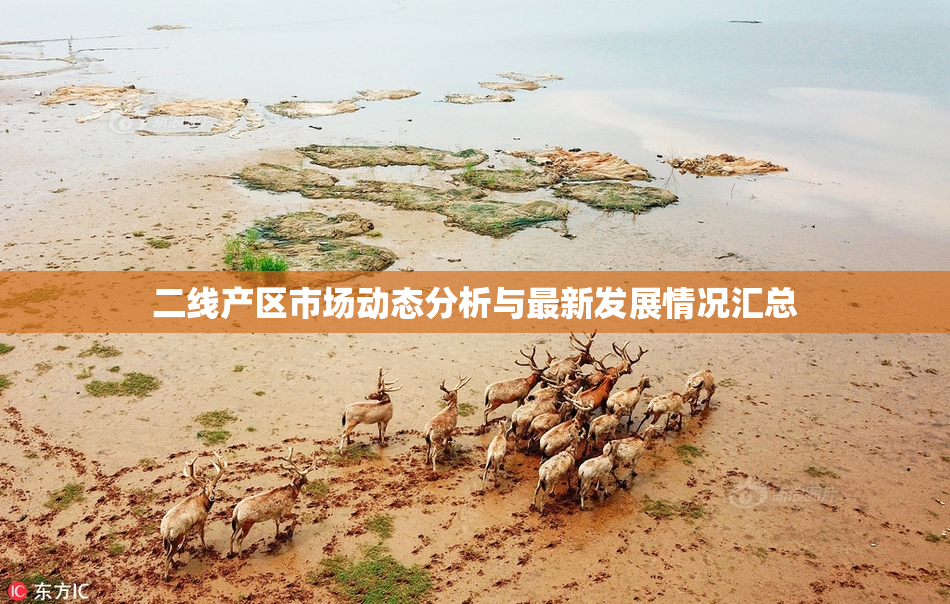 二线产区市场动态分析与最新发展情况汇总