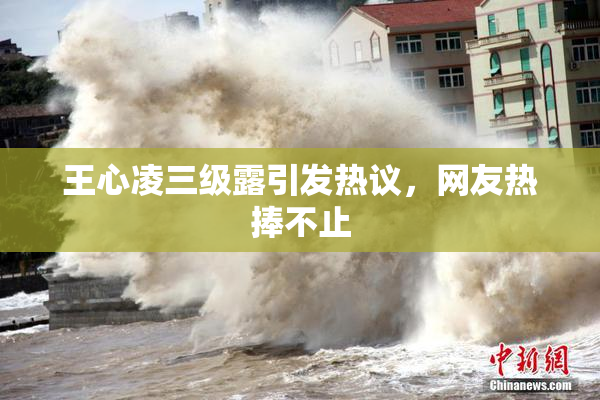 王心凌三级露引发热议，网友热捧不止