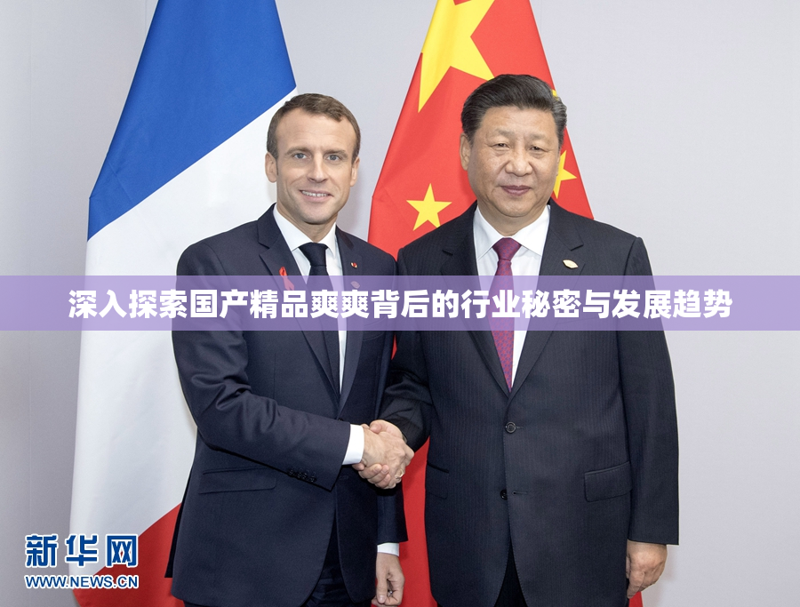 深入探索国产精品爽爽背后的行业秘密与发展趋势