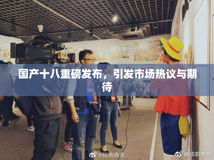 国产十八重磅发布，引发市场热议与期待