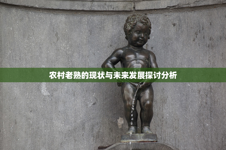 农村老熟的现状与未来发展探讨分析