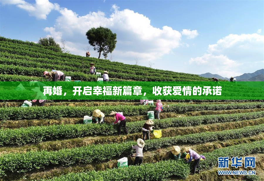 再婚，开启幸福新篇章，收获爱情的承诺