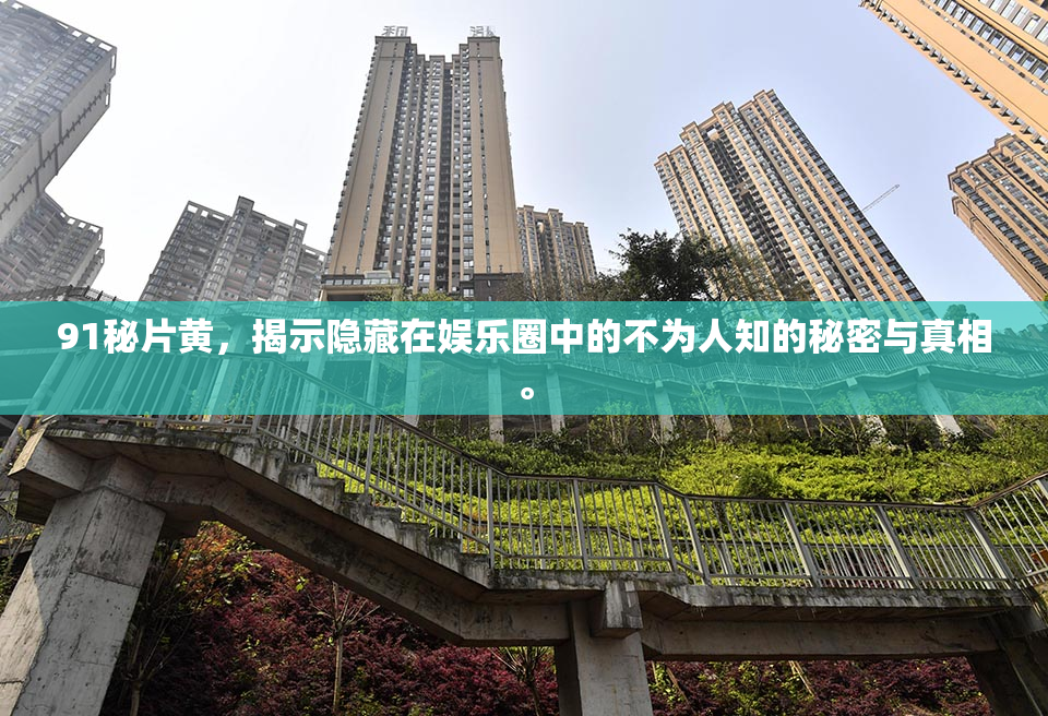 91秘片黄，揭示隐藏在娱乐圈中的不为人知的秘密与真相。
