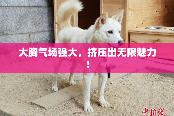 大胸气场强大，挤压出无限魅力！