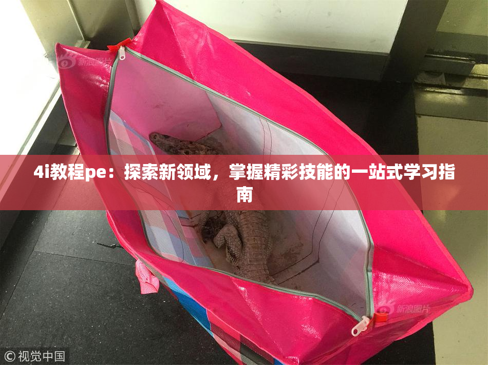 4i教程pe：探索新领域，掌握精彩技能的一站式学习指南