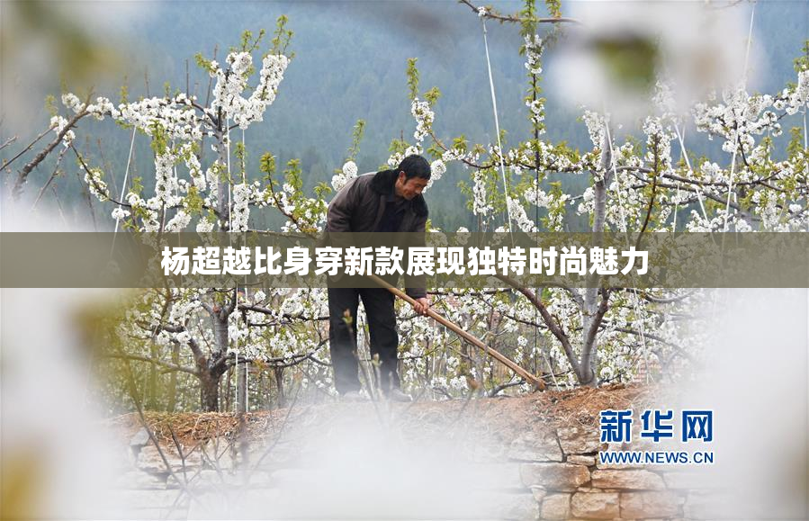 杨超越比身穿新款展现独特时尚魅力