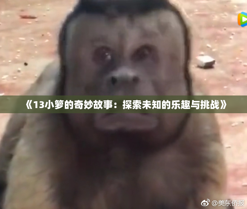 《13小箩的奇妙故事：探索未知的乐趣与挑战》