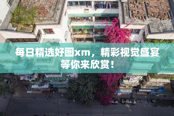 每日精选好图xm，精彩视觉盛宴等你来欣赏！