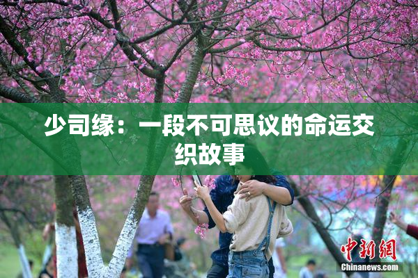 少司缘：一段不可思议的命运交织故事