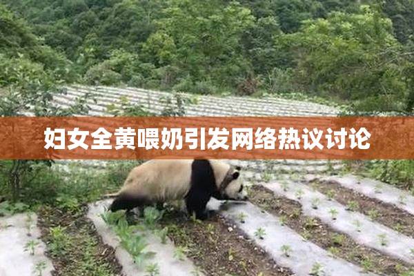 妇女全黄喂奶引发网络热议讨论