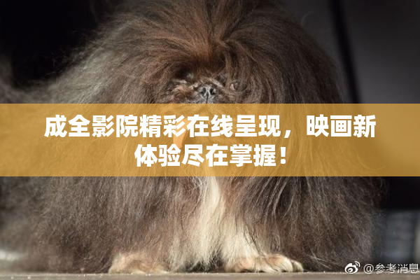 成全影院精彩在线呈现，映画新体验尽在掌握！