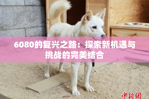 6080的复兴之路：探索新机遇与挑战的完美结合