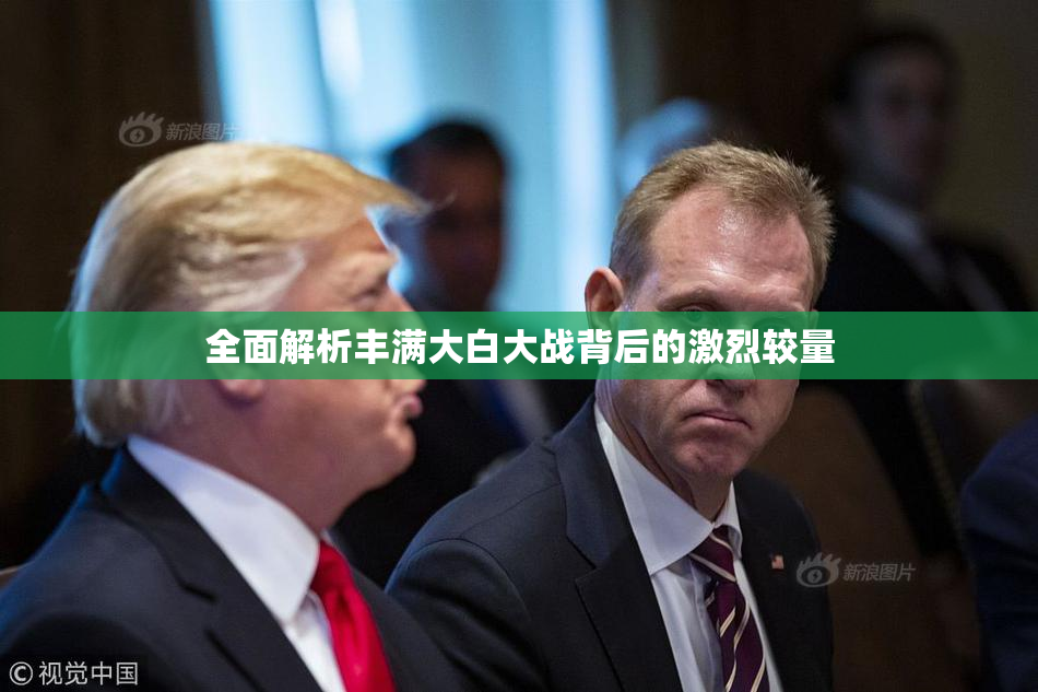 全面解析丰满大白大战背后的激烈较量