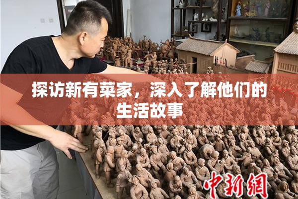 探访新有菜家，深入了解他们的生活故事
