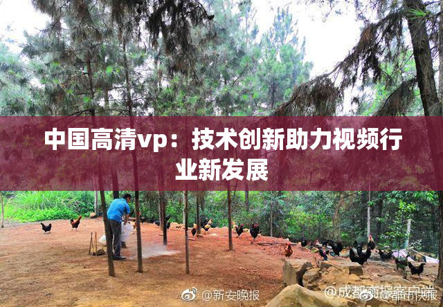 中国高清vp：技术创新助力视频行业新发展