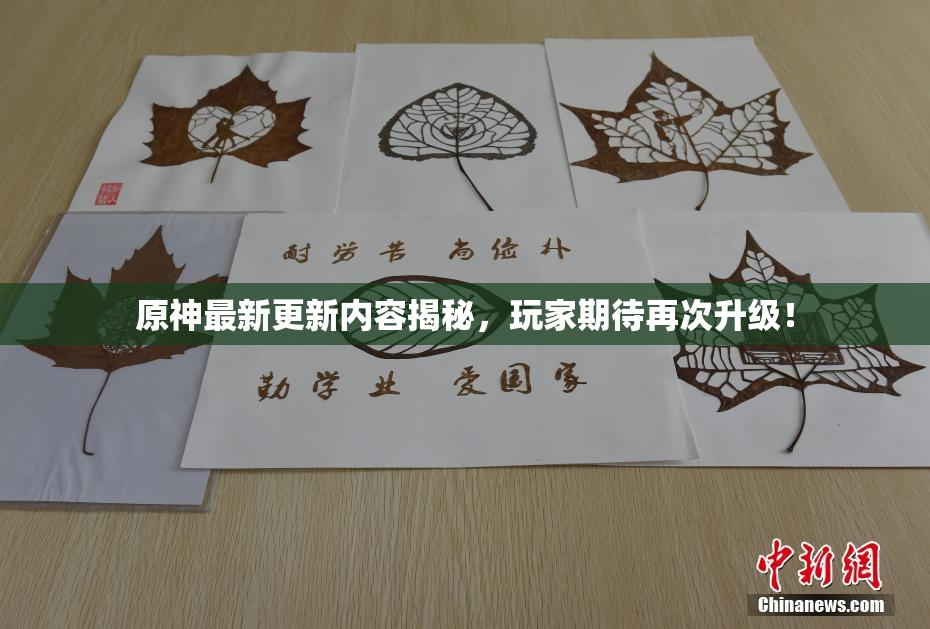 原神最新更新内容揭秘，玩家期待再次升级！