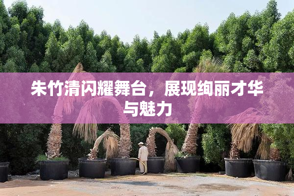 朱竹清闪耀舞台，展现绚丽才华与魅力