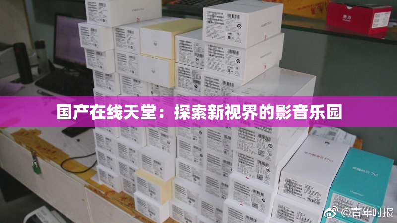 国产在线天堂：探索新视界的影音乐园
