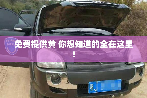 免费提供黄 你想知道的全在这里!