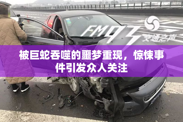 被巨蛇吞噬的噩梦重现，惊悚事件引发众人关注