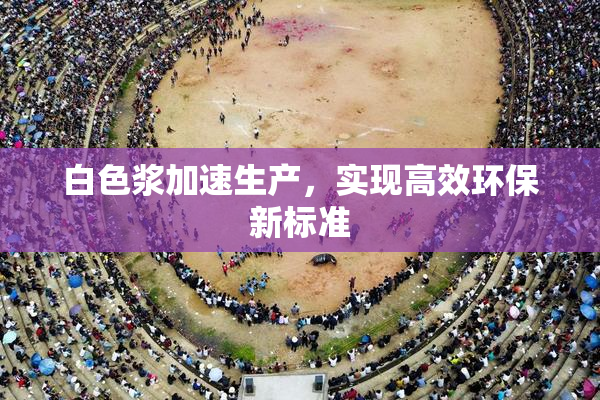 白色浆加速生产，实现高效环保新标准