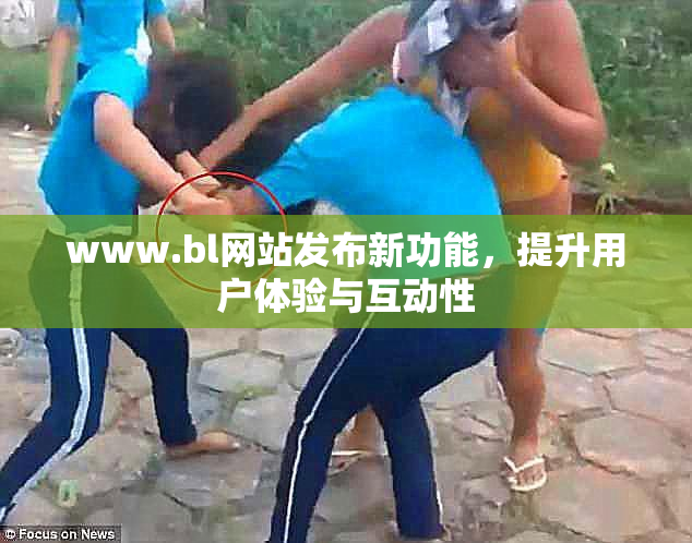 www.bl网站发布新功能，提升用户体验与互动性