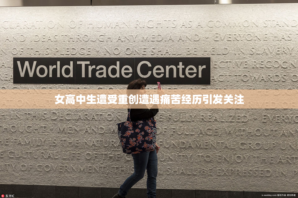 女高中生遭受重创遭遇痛苦经历引发关注