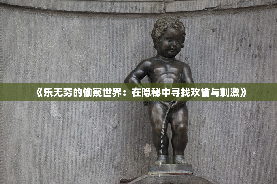 《乐无穷的偷窥世界：在隐秘中寻找欢愉与刺激》