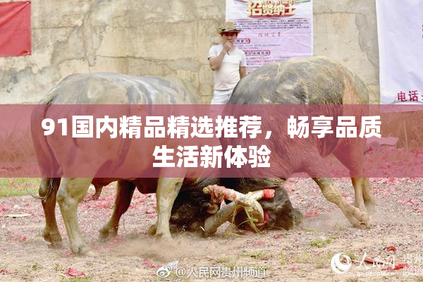 91国内精品精选推荐，畅享品质生活新体验