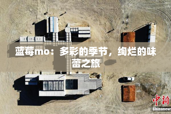 蓝莓mo：多彩的季节，绚烂的味蕾之旅