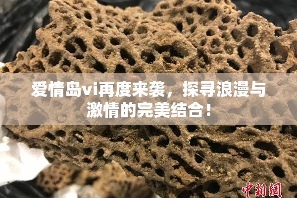爱情岛vi再度来袭，探寻浪漫与激情的完美结合！
