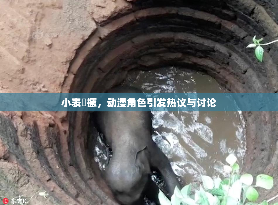 小表妺撅，动漫角色引发热议与讨论