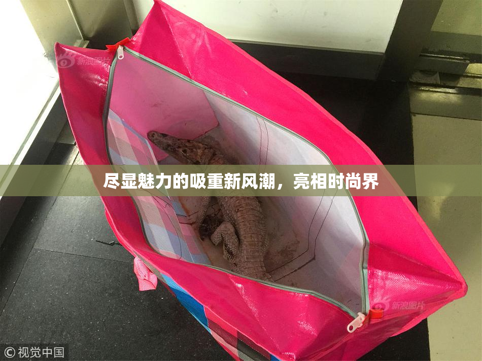 尽显魅力的吸重新风潮，亮相时尚界