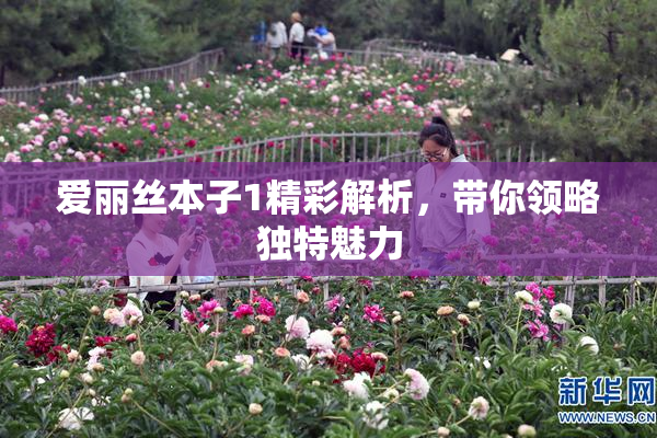 爱丽丝本子1精彩解析，带你领略独特魅力