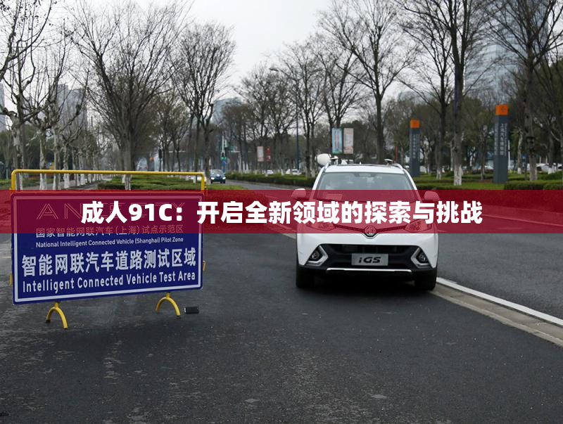 成人91C：开启全新领域的探索与挑战