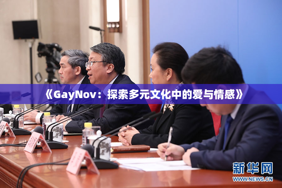 《GayNov：探索多元文化中的爱与情感》