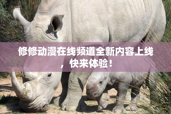 修修动漫在线频道全新内容上线，快来体验！