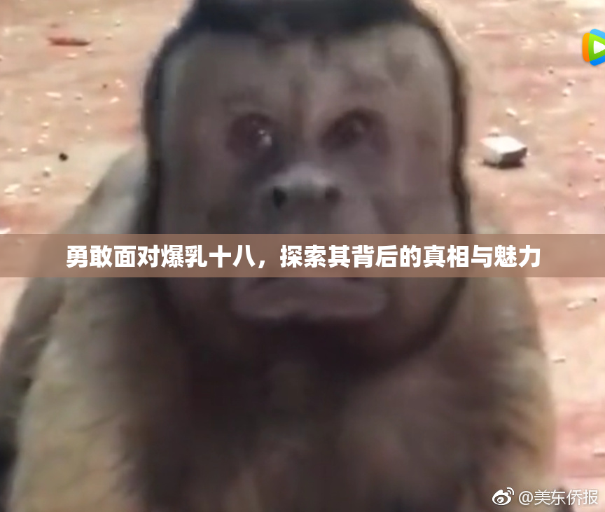 勇敢面对爆乳十八，探索其背后的真相与魅力
