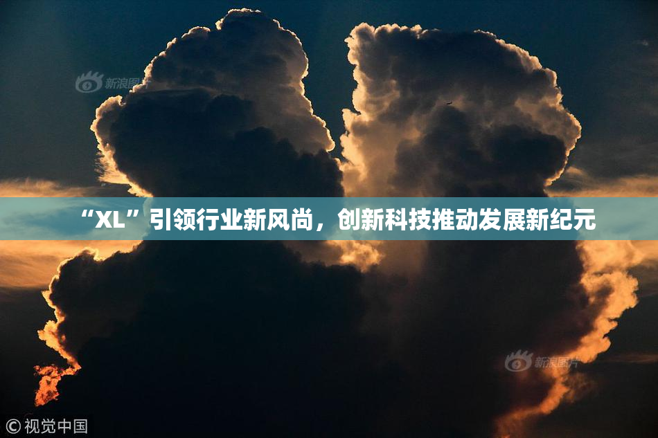 “XL”引领行业新风尚，创新科技推动发展新纪元