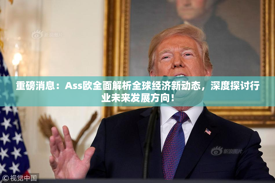 重磅消息：Ass欧全面解析全球经济新动态，深度探讨行业未来发展方向！