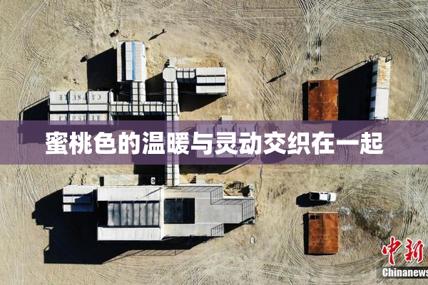 蜜桃色的温暖与灵动交织在一起