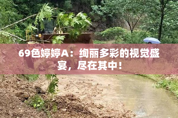 69色婷婷A：绚丽多彩的视觉盛宴，尽在其中！