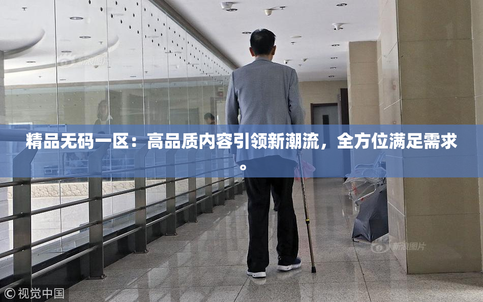 精品无码一区：高品质内容引领新潮流，全方位满足需求。