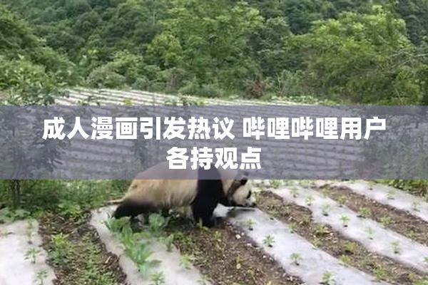 成人漫画引发热议 哔哩哔哩用户各持观点