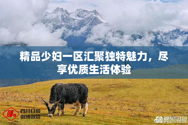 精品少妇一区汇聚独特魅力，尽享优质生活体验