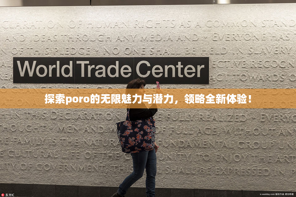 探索poro的无限魅力与潜力，领略全新体验！